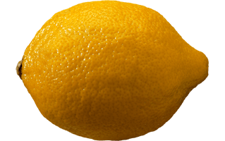 meyer-lemon PNG