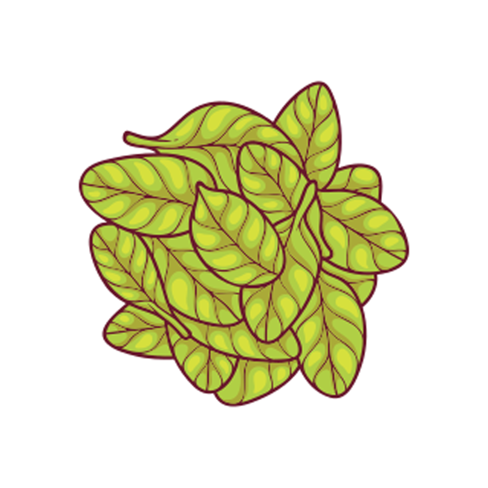 Mint Sticker Transparent Image