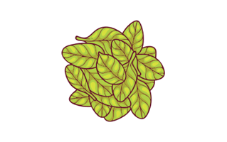 Mint Sticker PNG