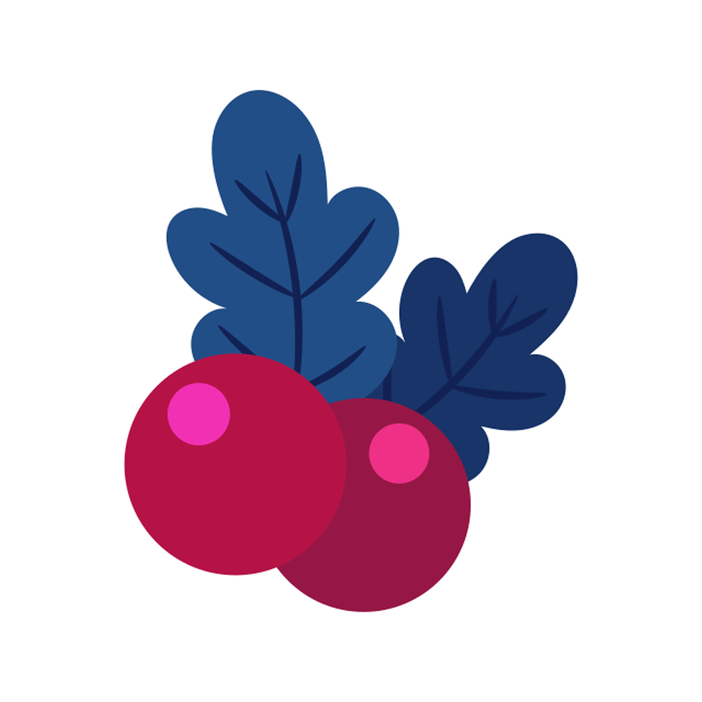 Mistletoe Free Sticker Transparent Picture