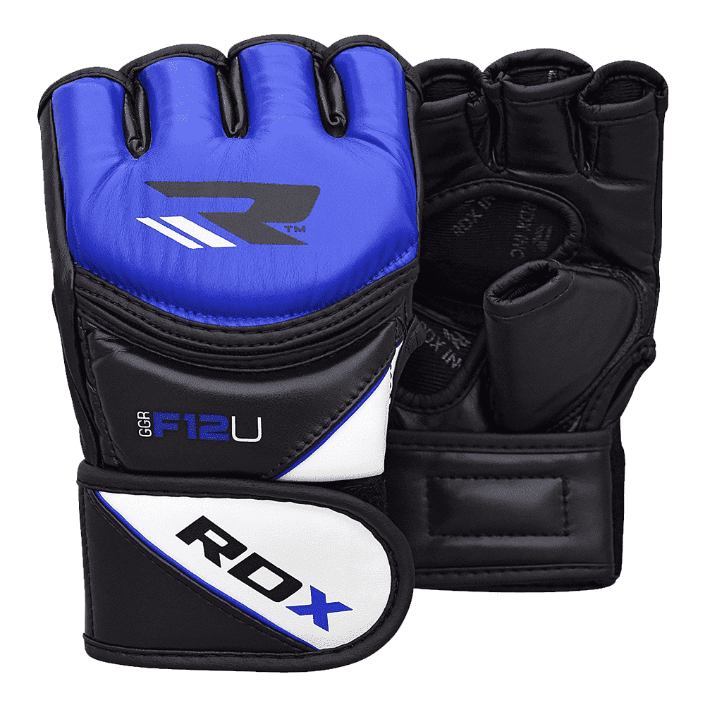 MMA Gloves  Transparent Gallery