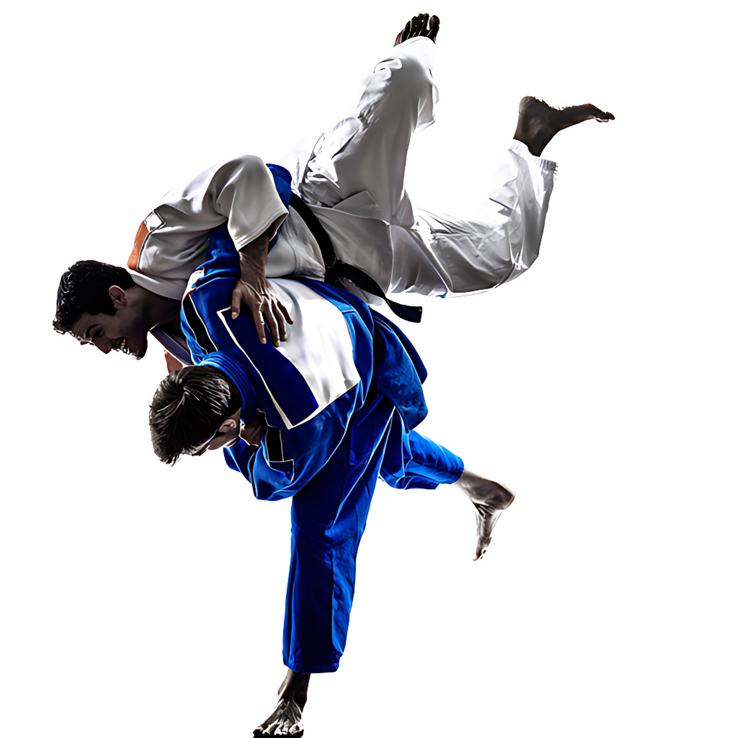 MMA Grappling Transparent Picture