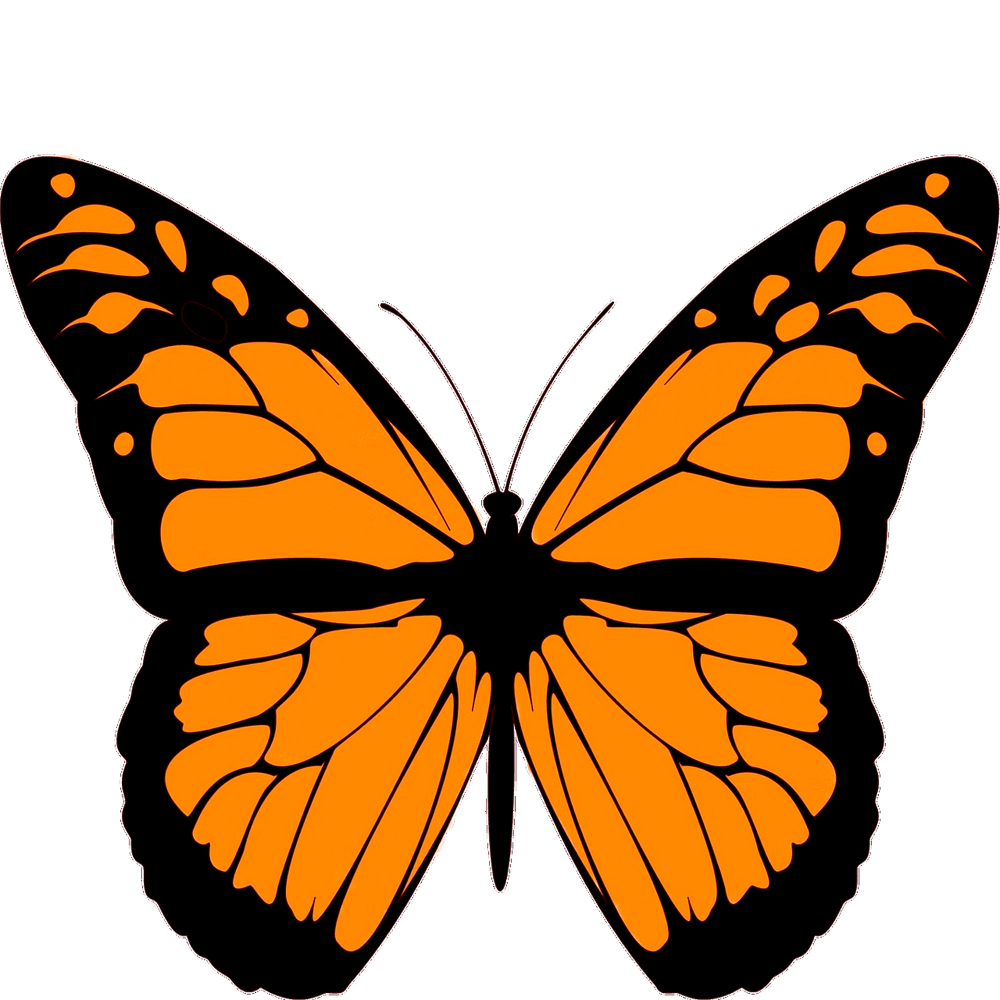 Monarch Butterfly  Transparent Image