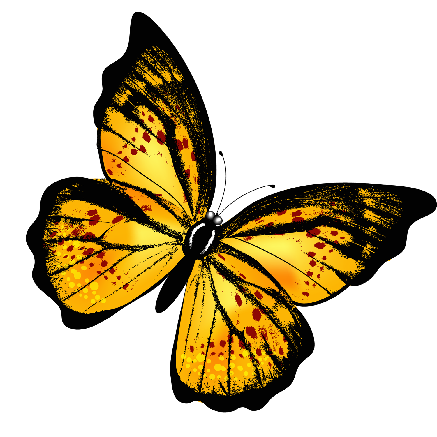 Monarch Butterfly  Transparent Clipart