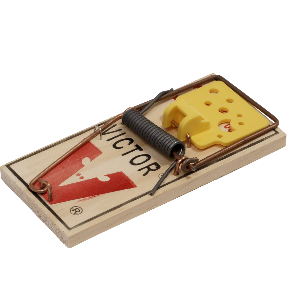 Mouse Trap  Transparent Gallery