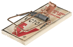 Mouse Trap PNG