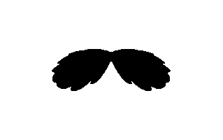 Moustache Free Sticker PNG