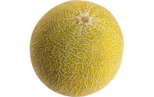 Muskmelon PNG