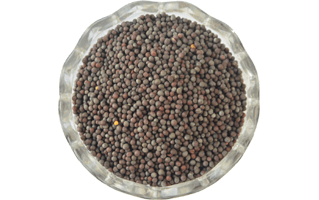 Mustard Seeds PNG