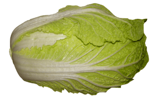 Napa Cabbage PNG