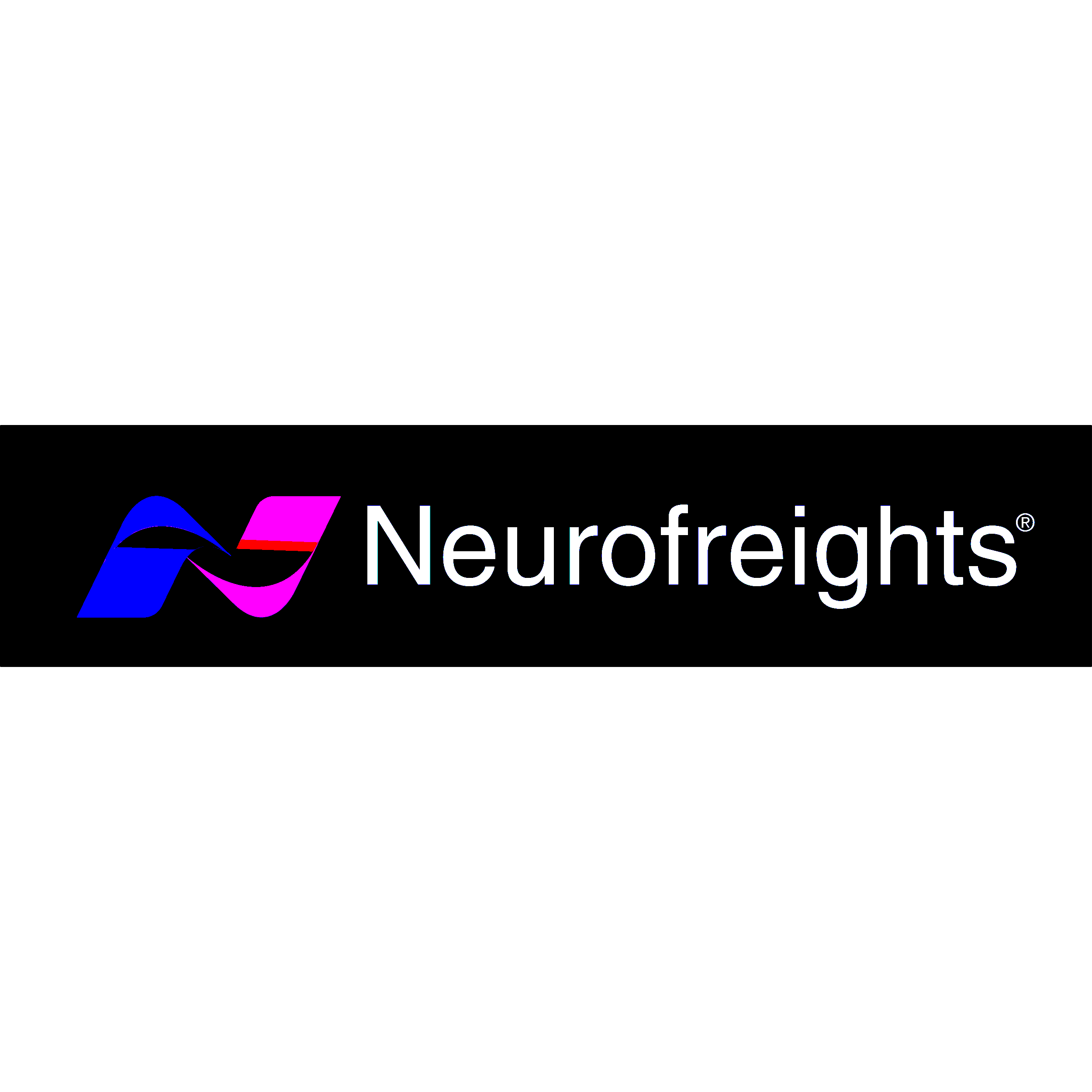 Neurofreight Logo Transparent Picture