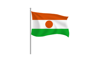 Niger Flag PNG