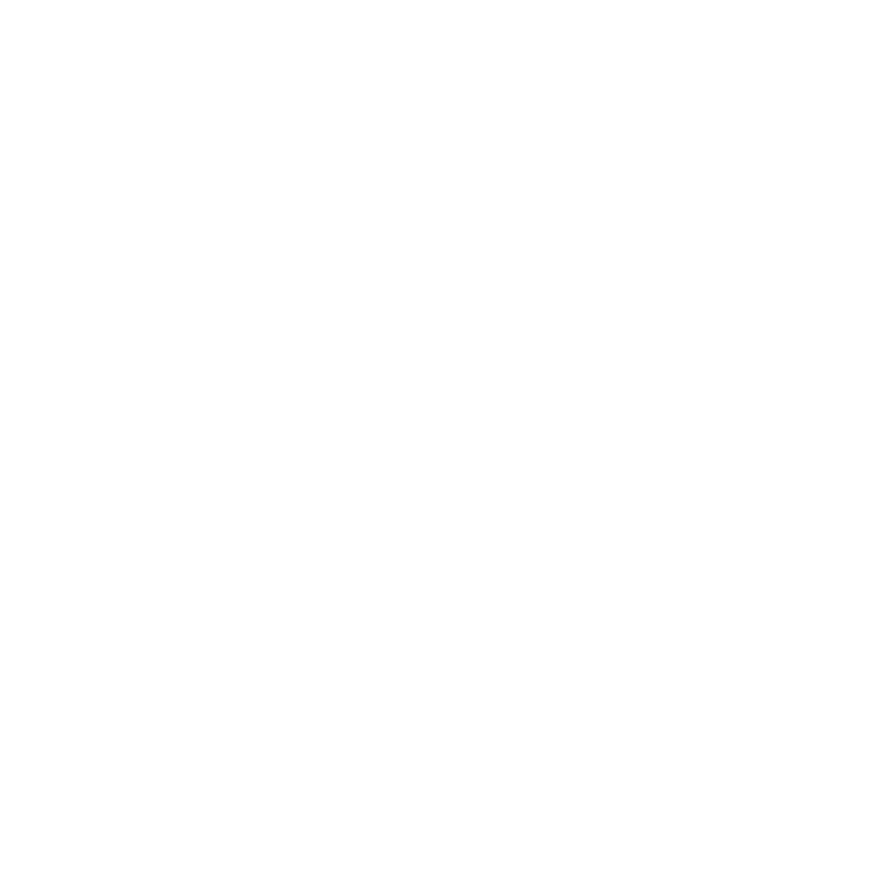 Noritsu Logo  Transparent Clipart