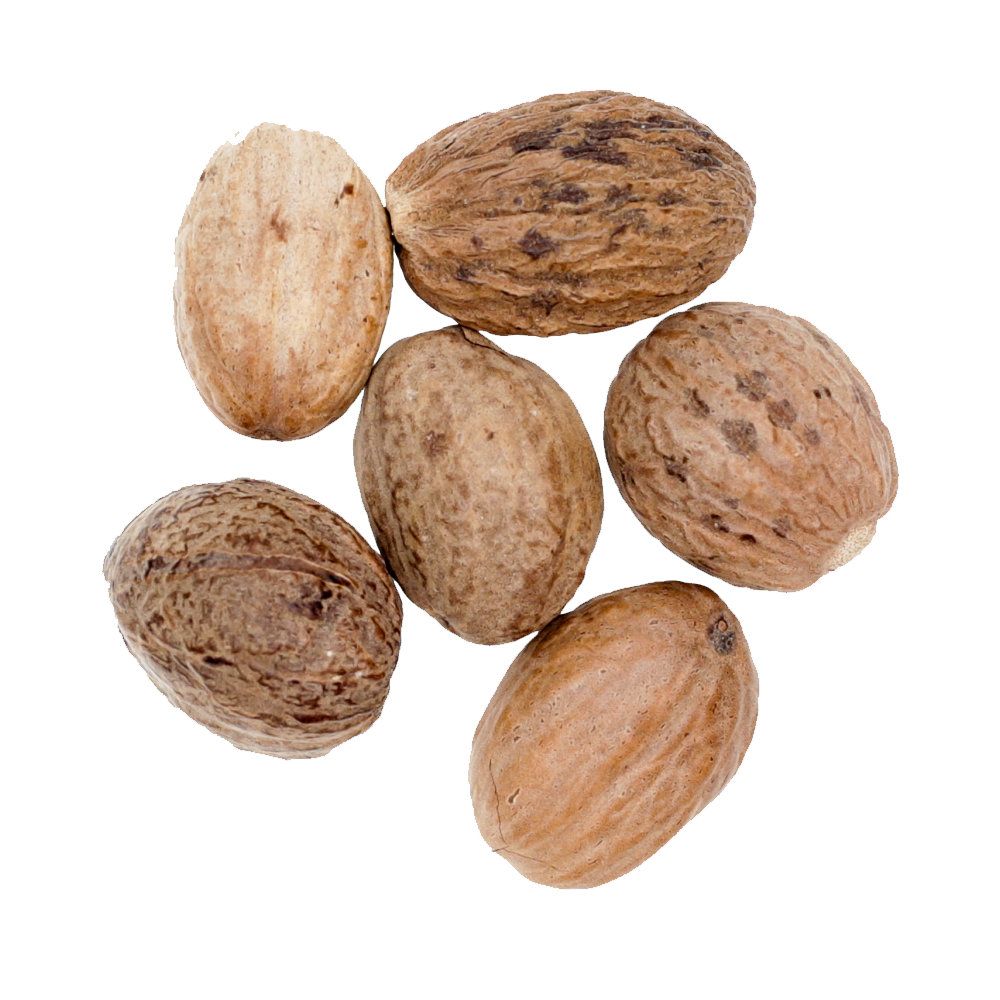 Nutmeg Transparent Image