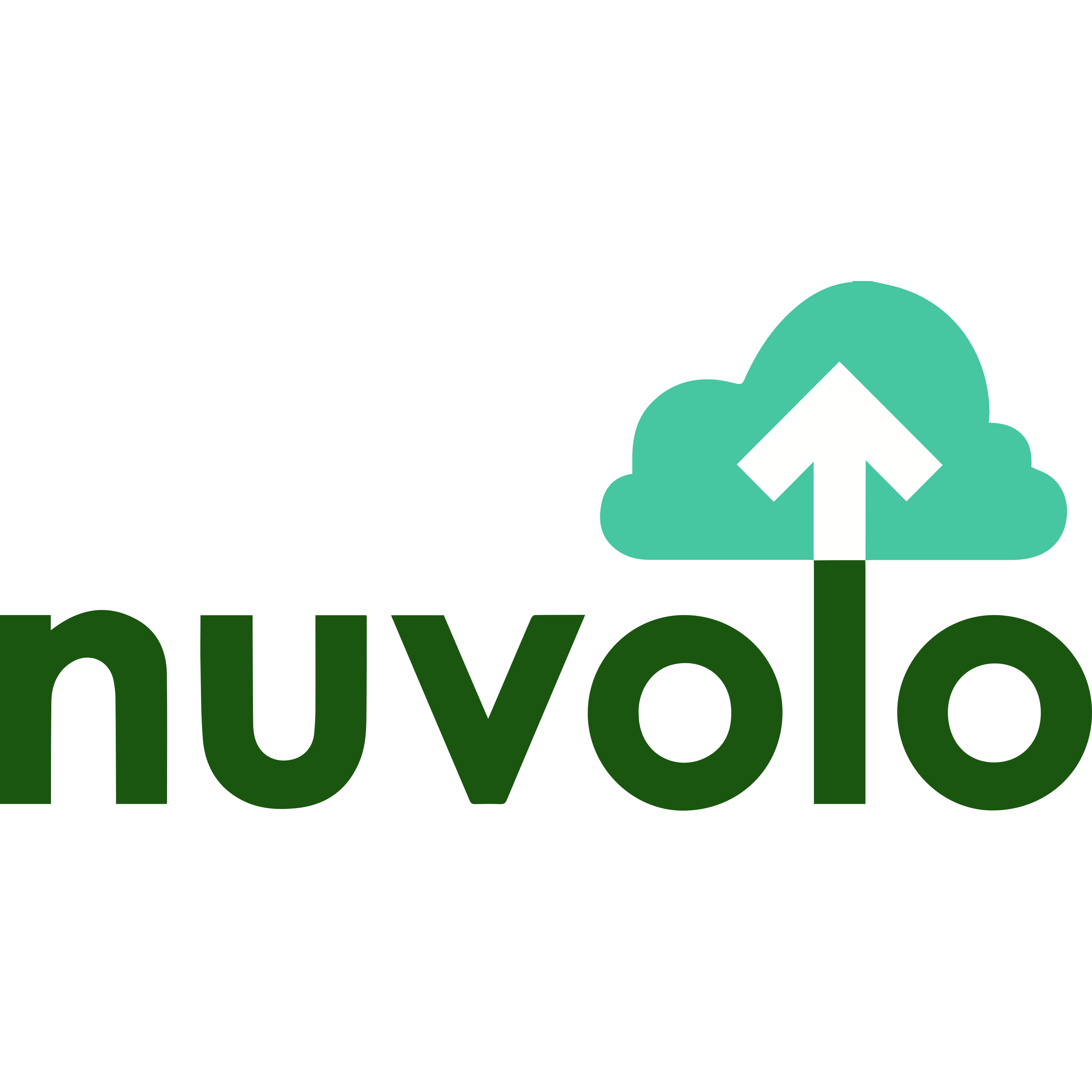 Nuvolo Logo  Transparent Clipart