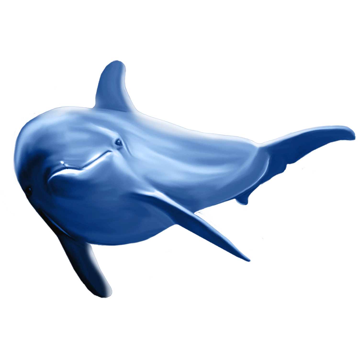 Oceanic Dolphin Transparent Picture