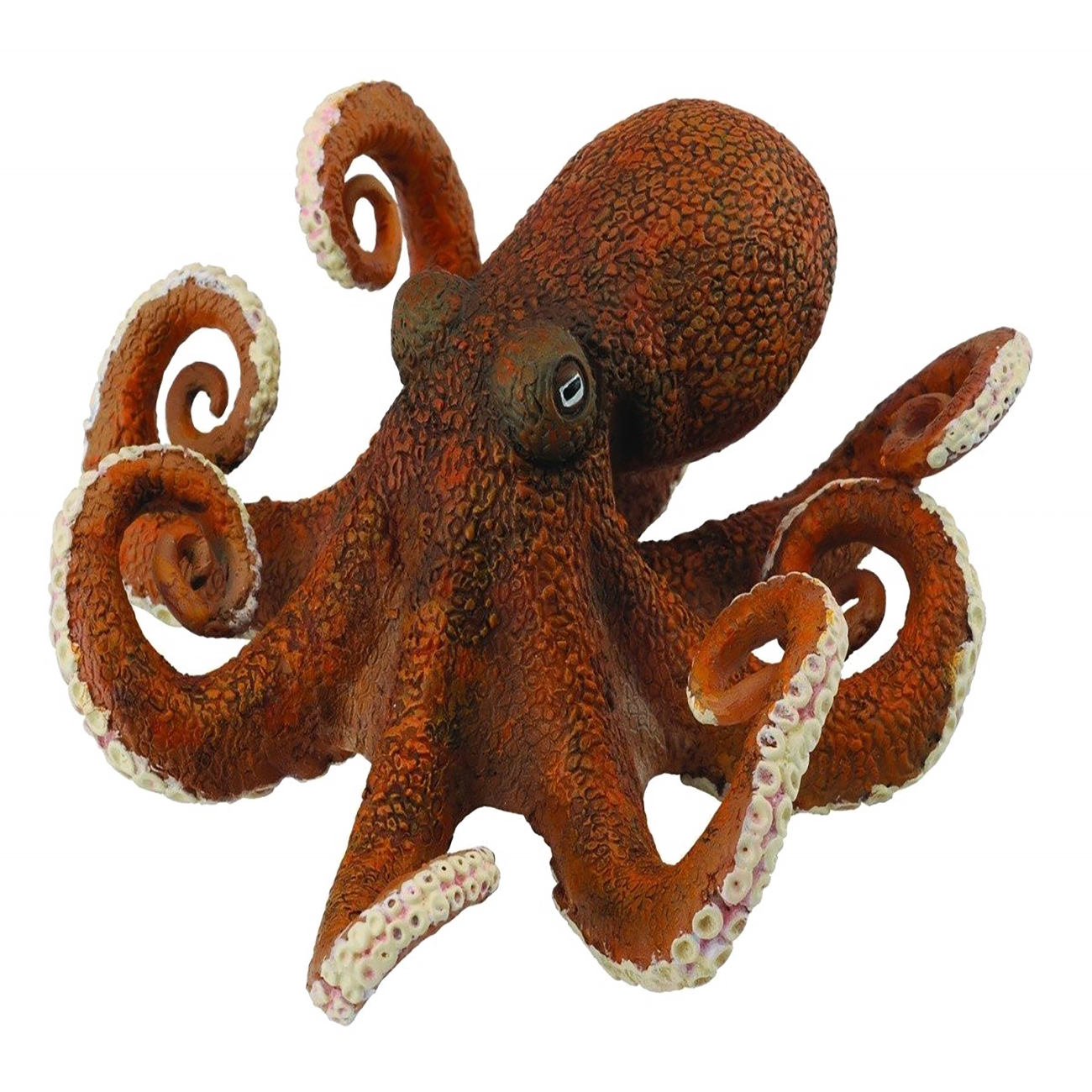 Octopus Transparent Clipart