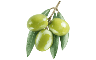 Olive Fruit PNG