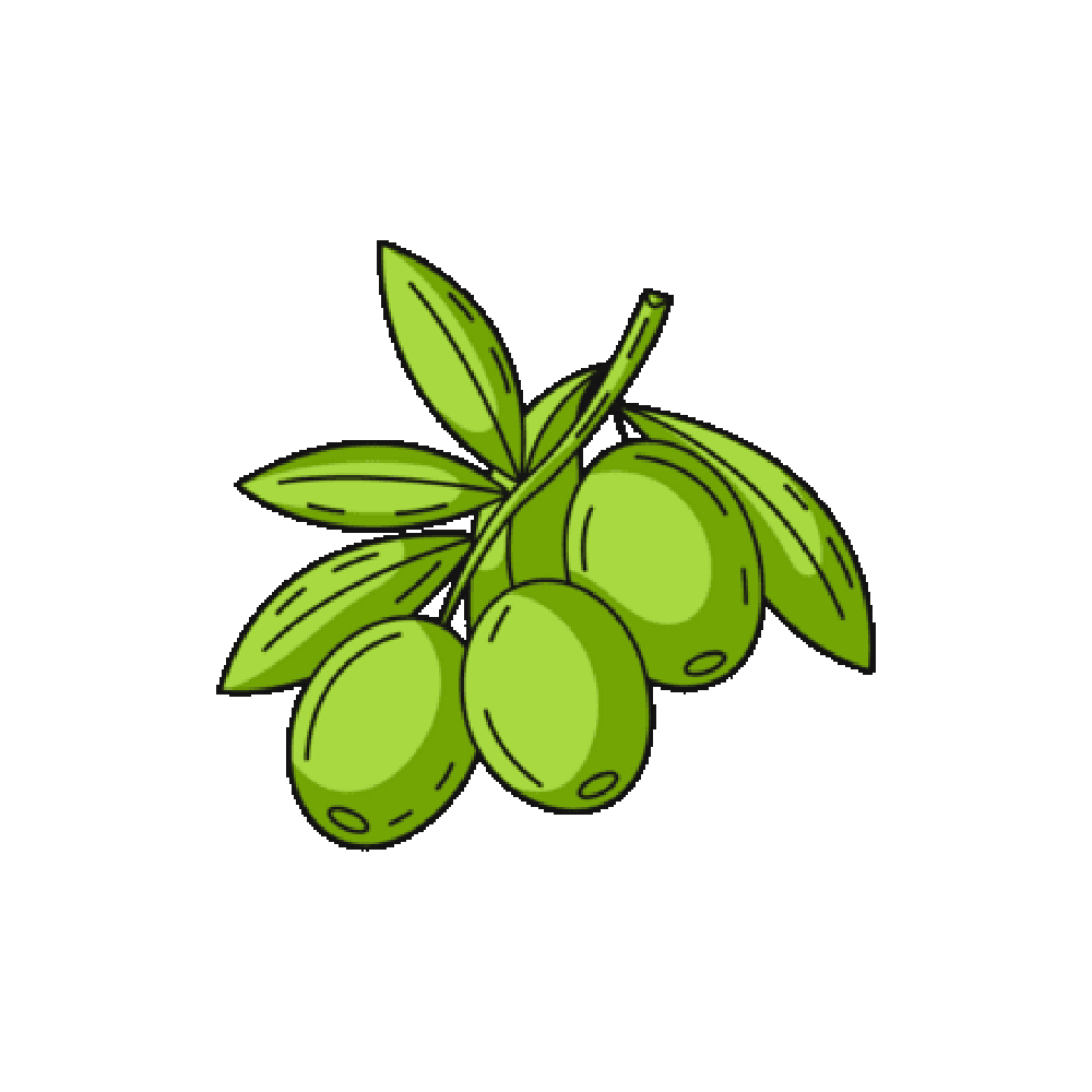 Olive Sticker Transparent Image