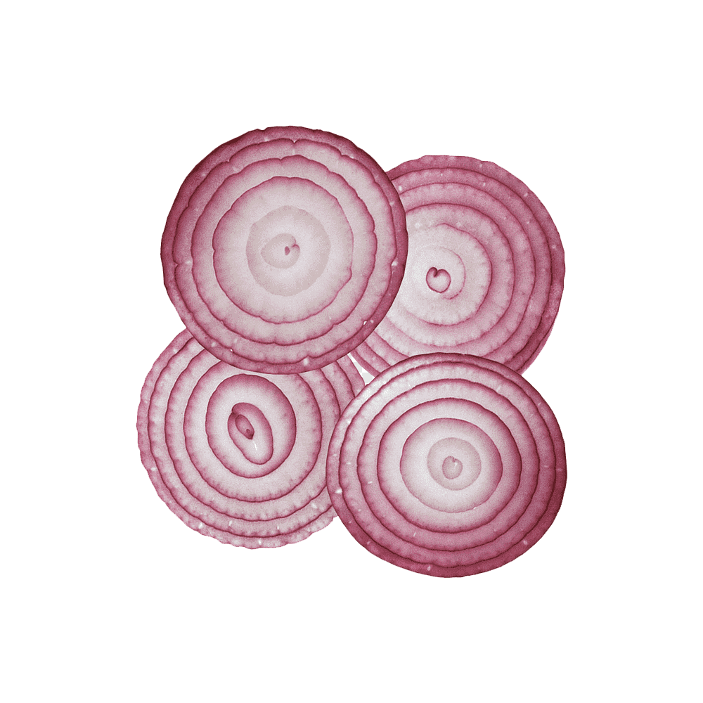 Onion slice  Transparent Image