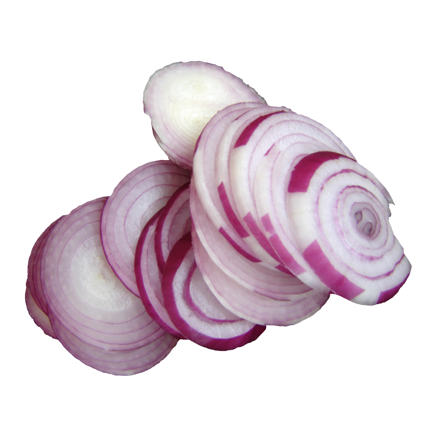 Onion slice  Transparent Gallery