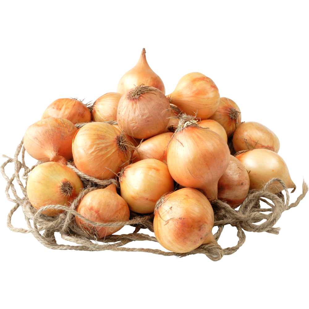 Onions  Transparent Image