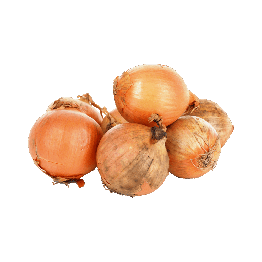 Onions  Transparent Photo