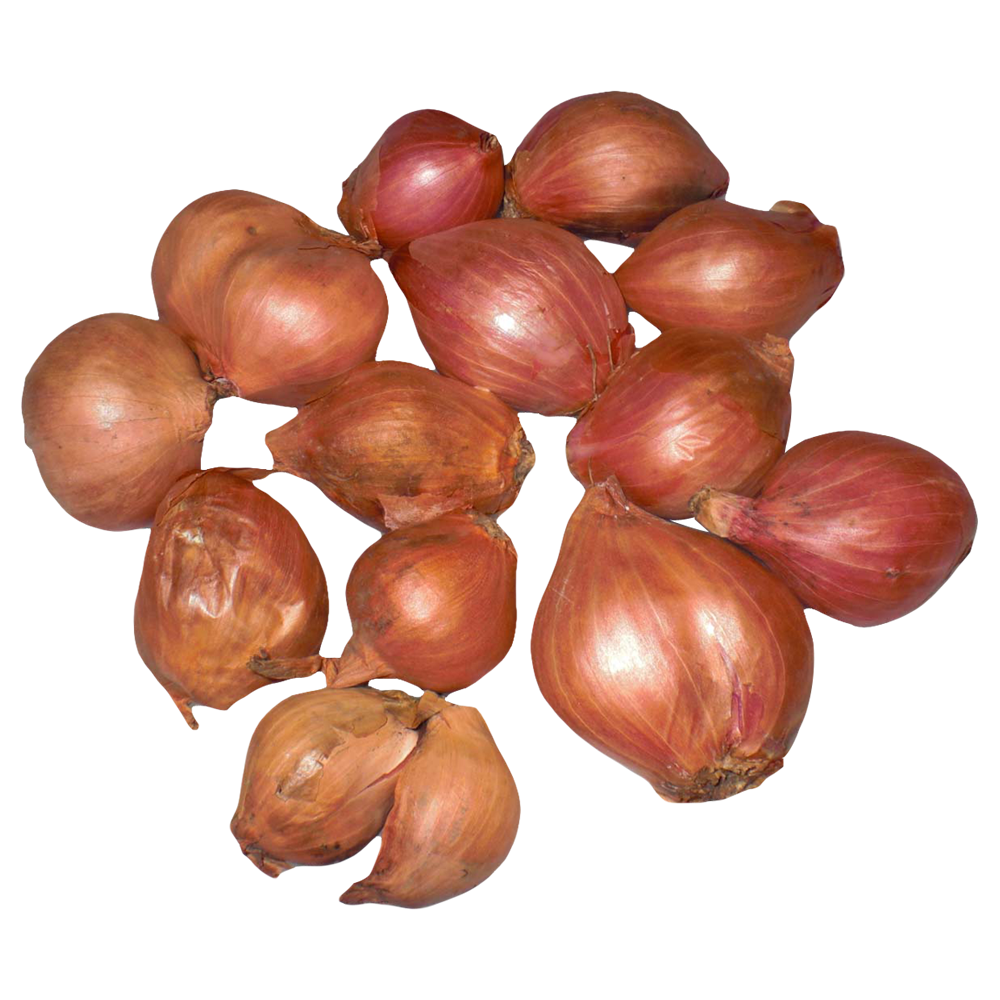 Onions Transparent Picture