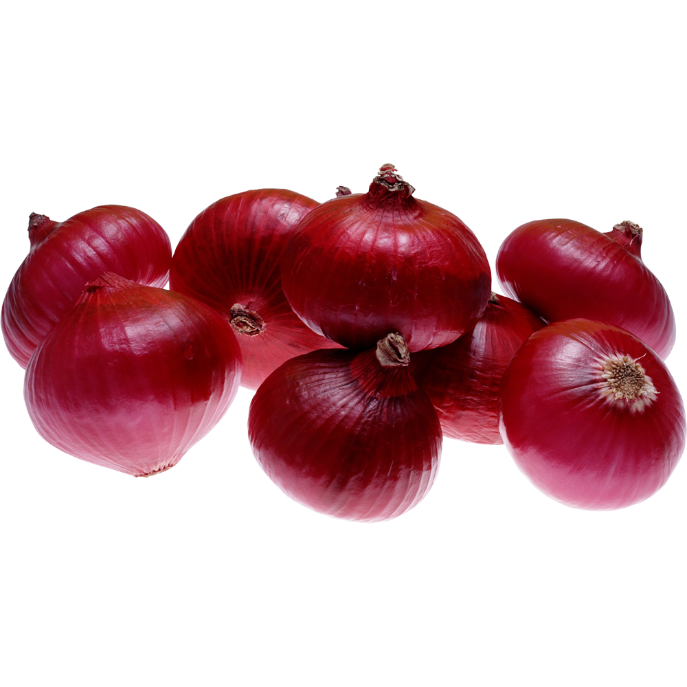 Onions  Transparent Clipart