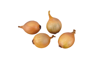 Onions PNG