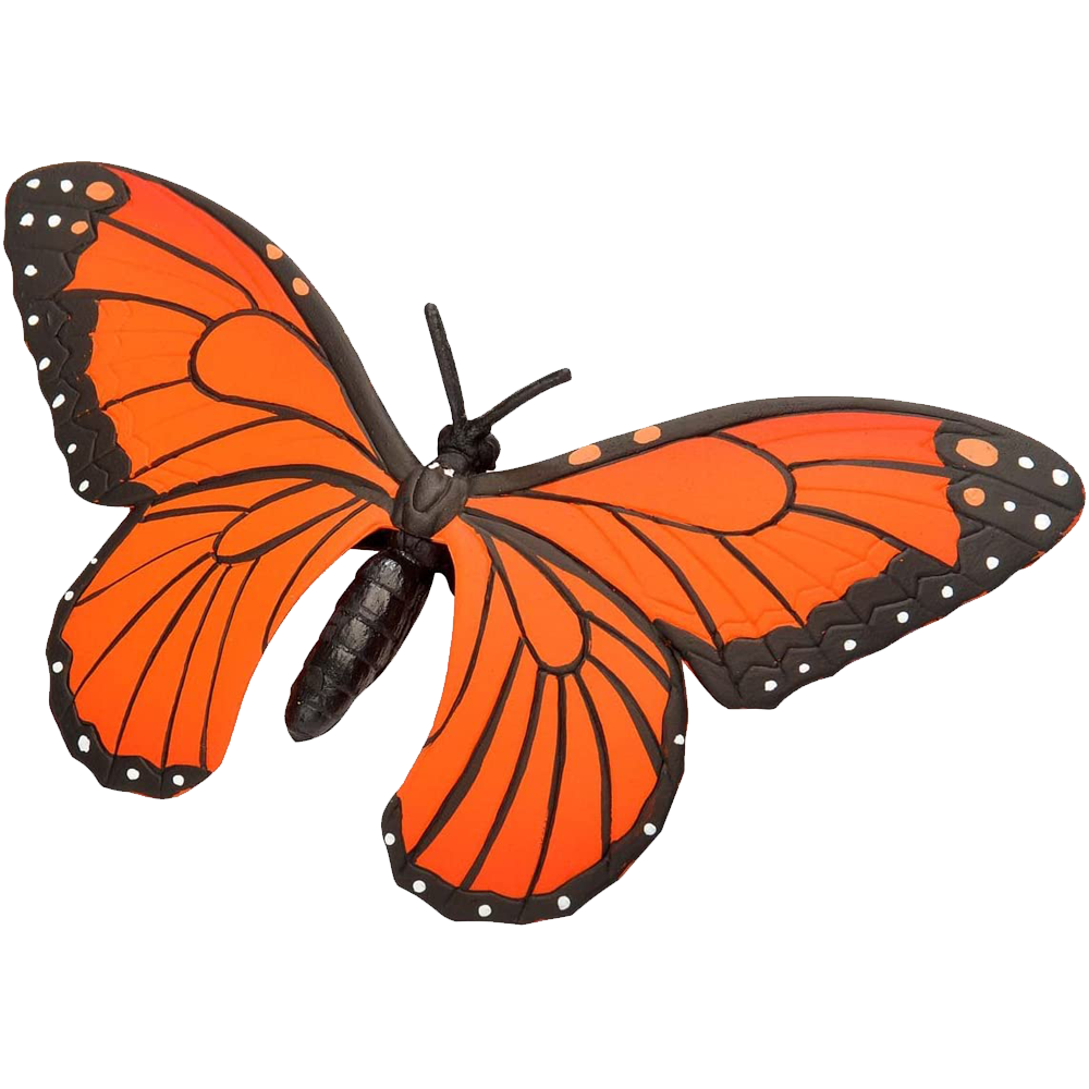 Orange Butterfly Transparent Photo