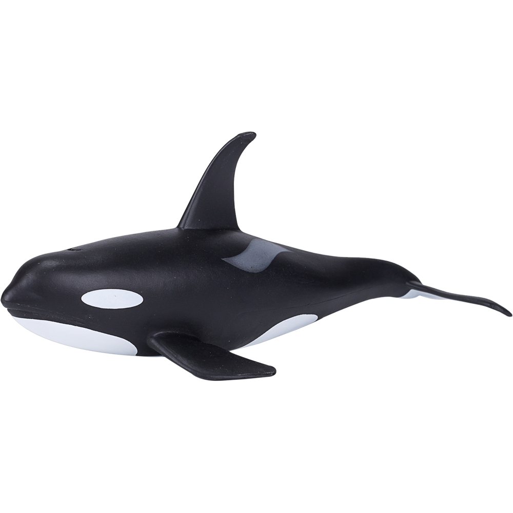 Orca  Transparent Image