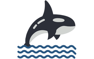 Orca Sticker PNG