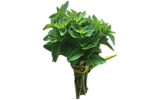 Oregano PNG