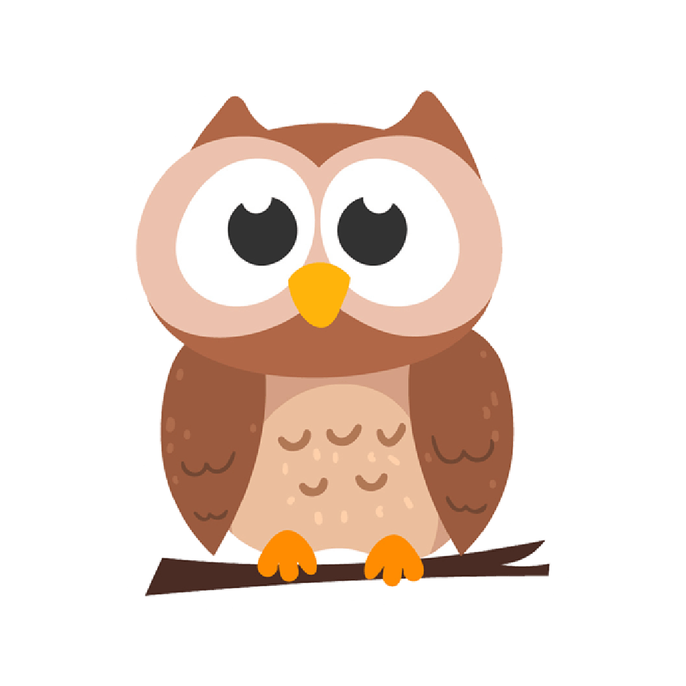 Owl Sticker Transparent Image