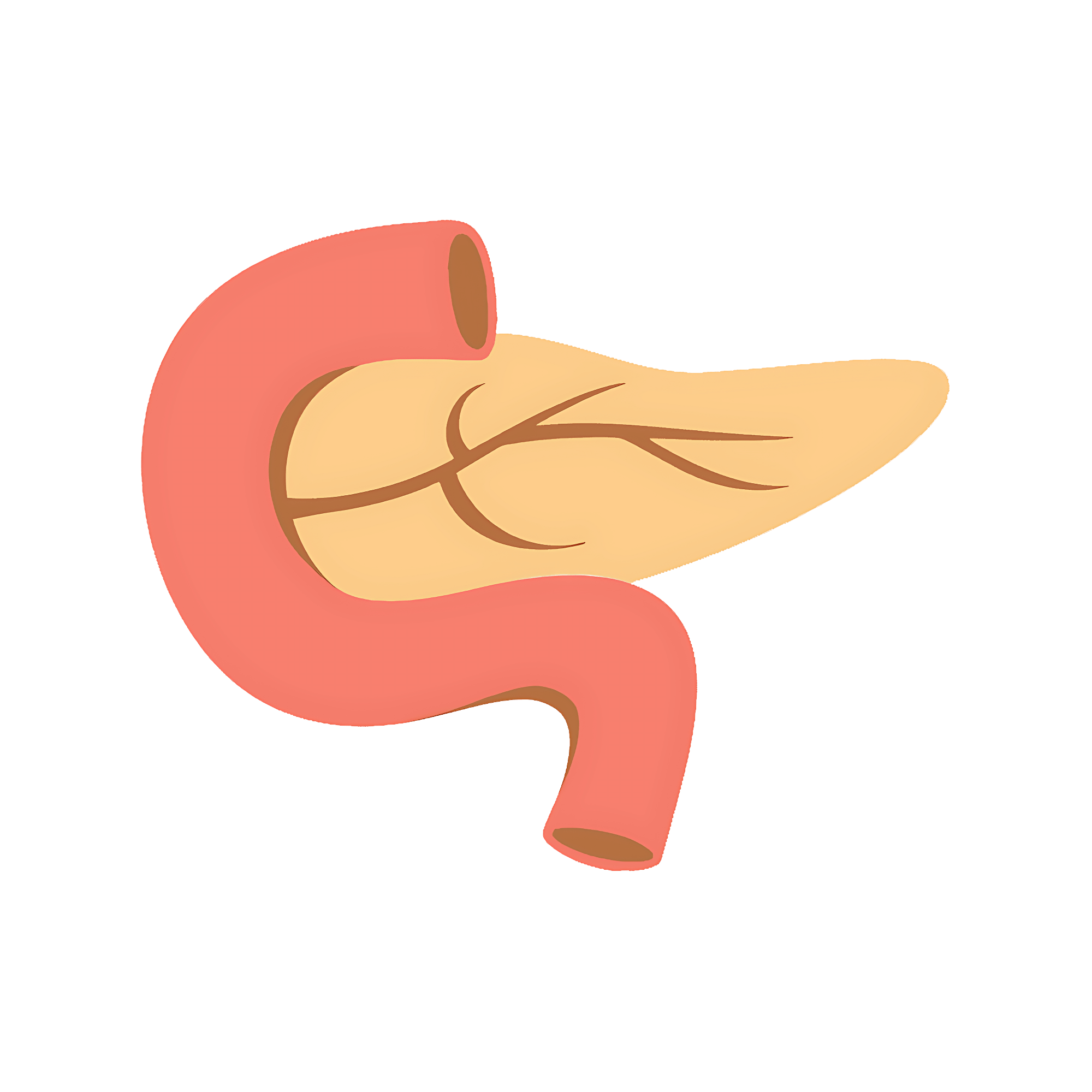 Pancreas Transparent Image