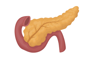 Pancreas Logo