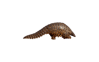 Pangolin PNG