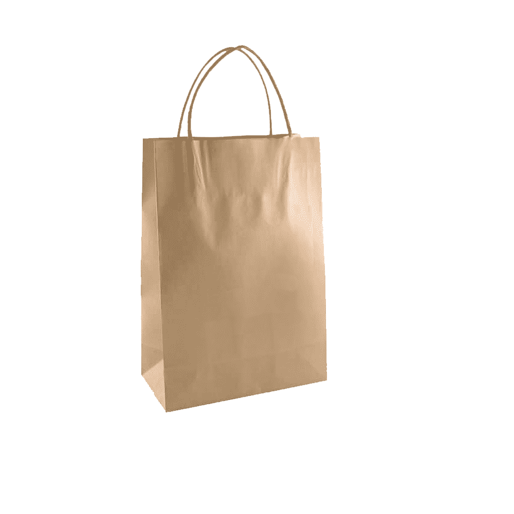 Paper Bag  Transparent Gallery