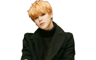 Park Jimin PNG