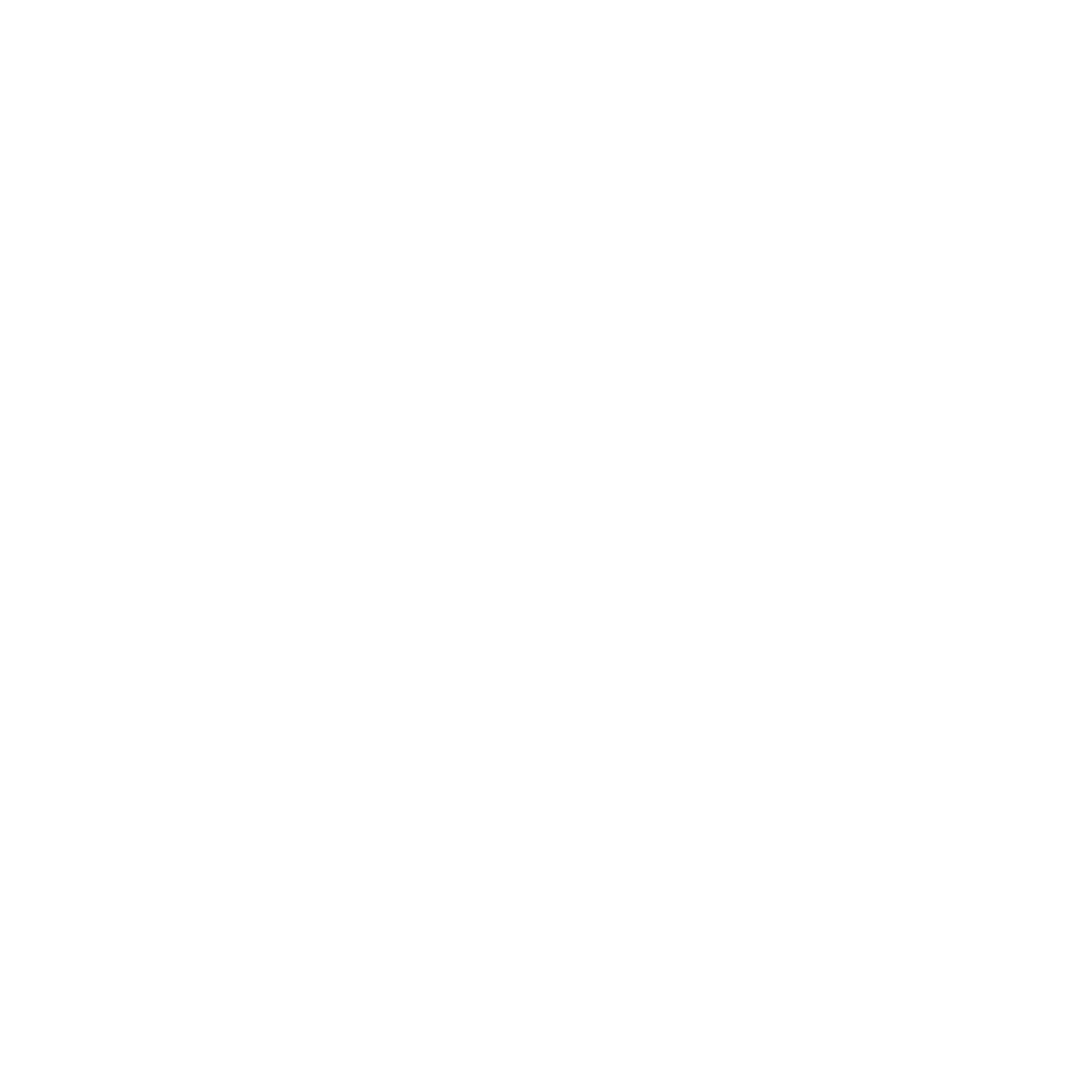Pavo Logo  Transparent Photo