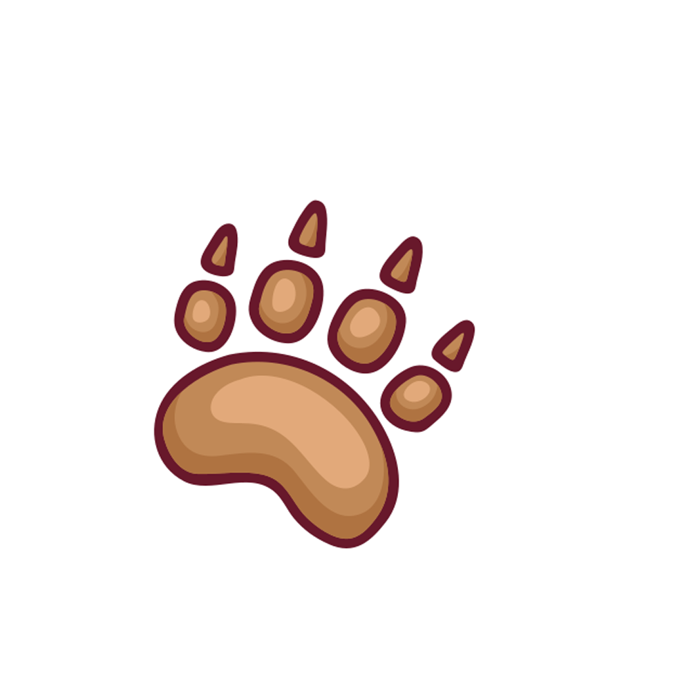 Paw Print Sticker Transparent Photo