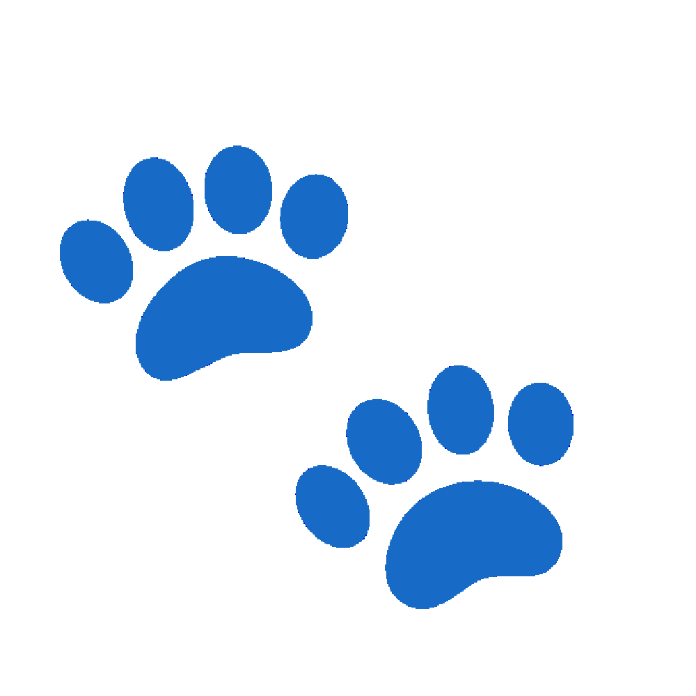 Paw Print Sticker Transparent Clipart
