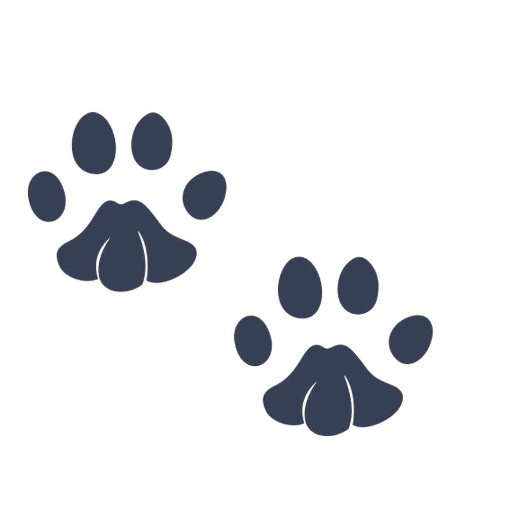 Paw Print Sticker Transparent Gallery