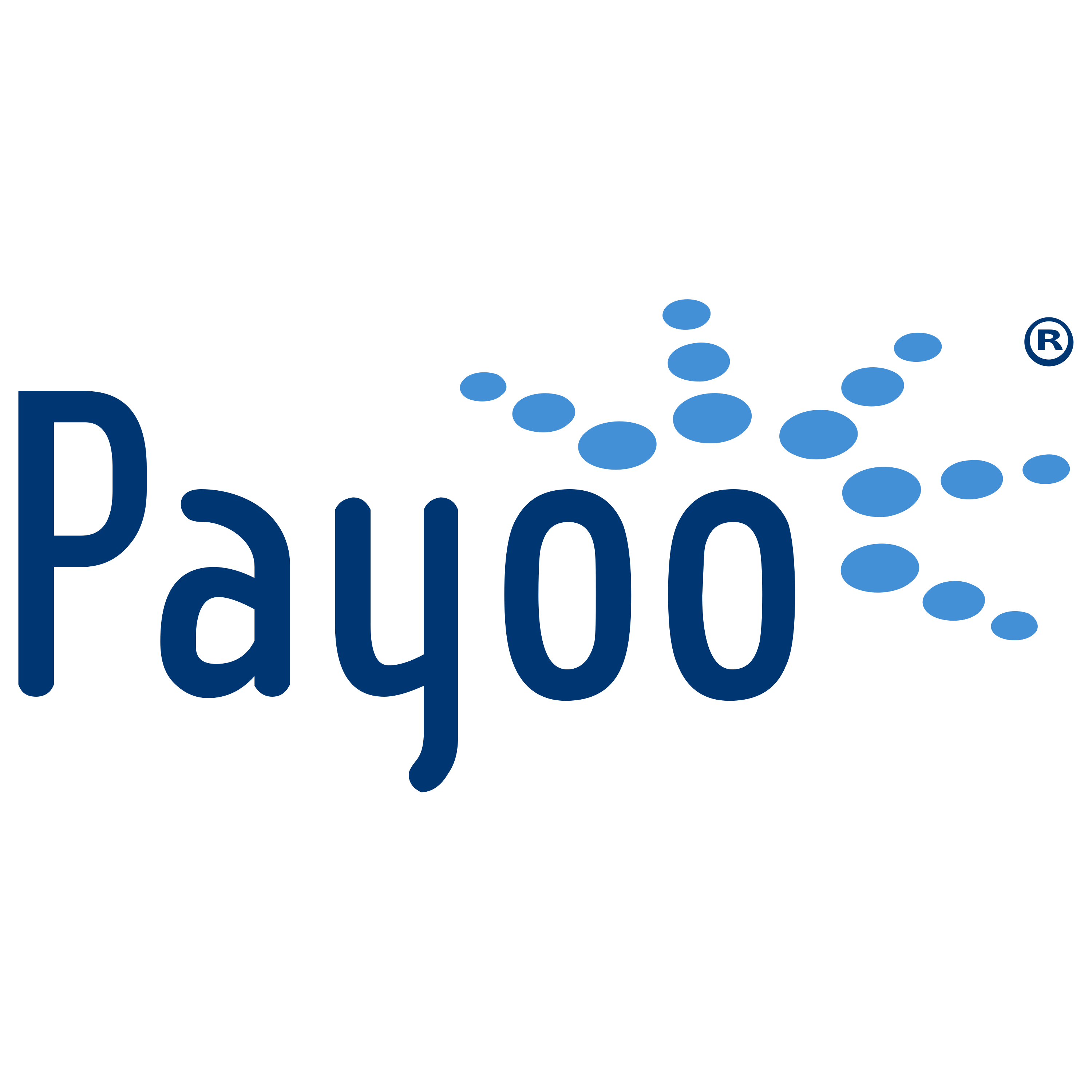 Payoo Logo  Transparent Photo