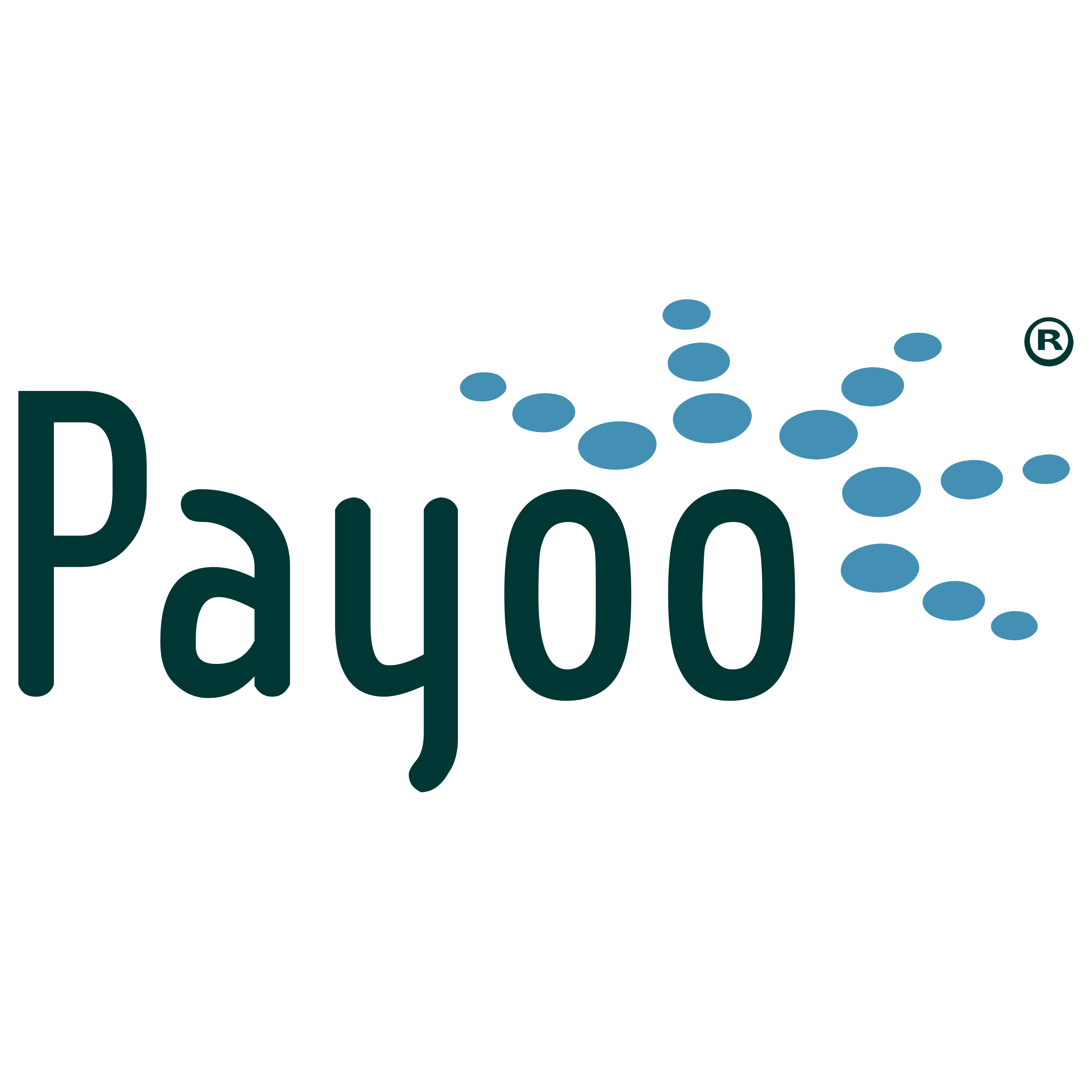 Payoo Logo  Transparent Clipart
