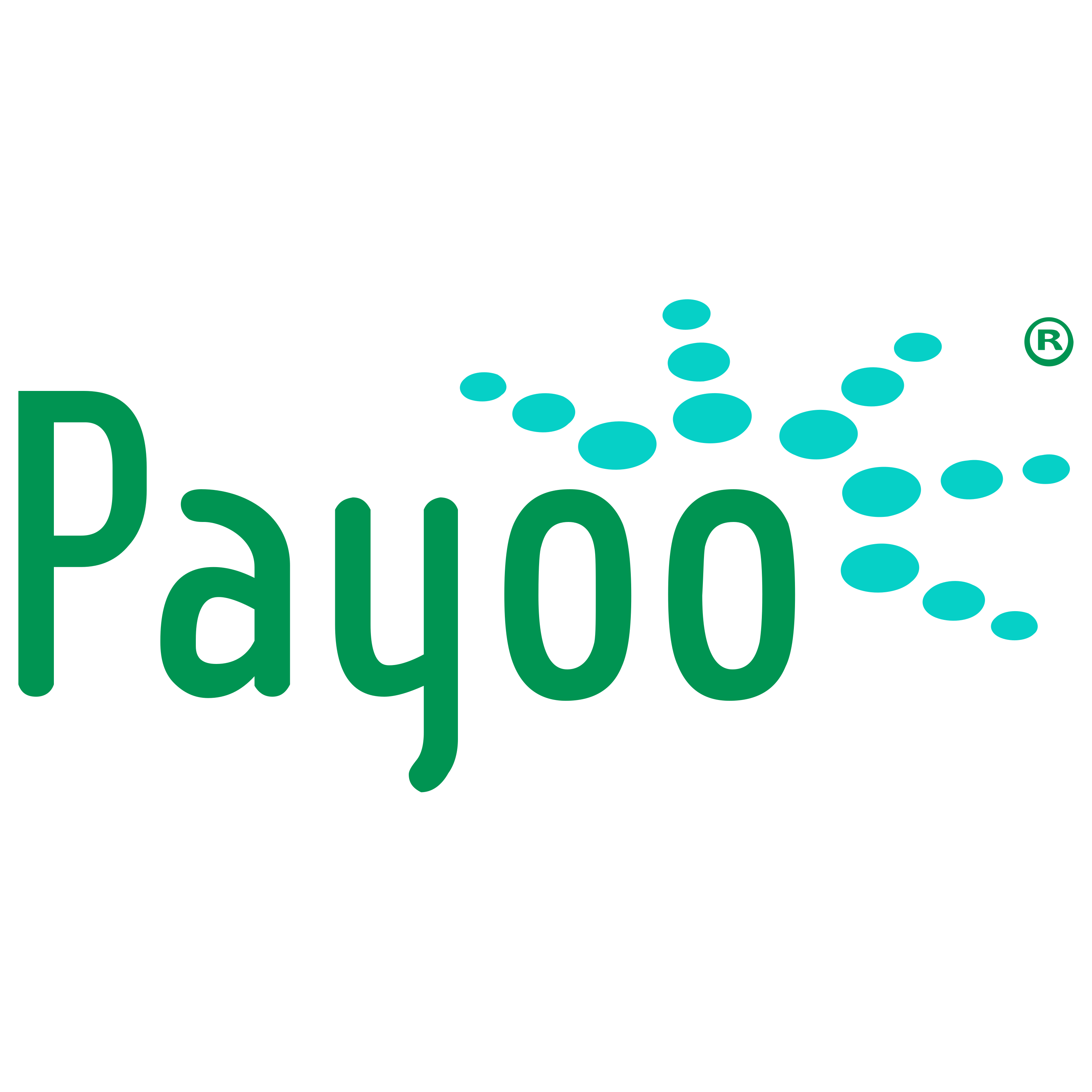 Payoo Logo  Transparent Gallery