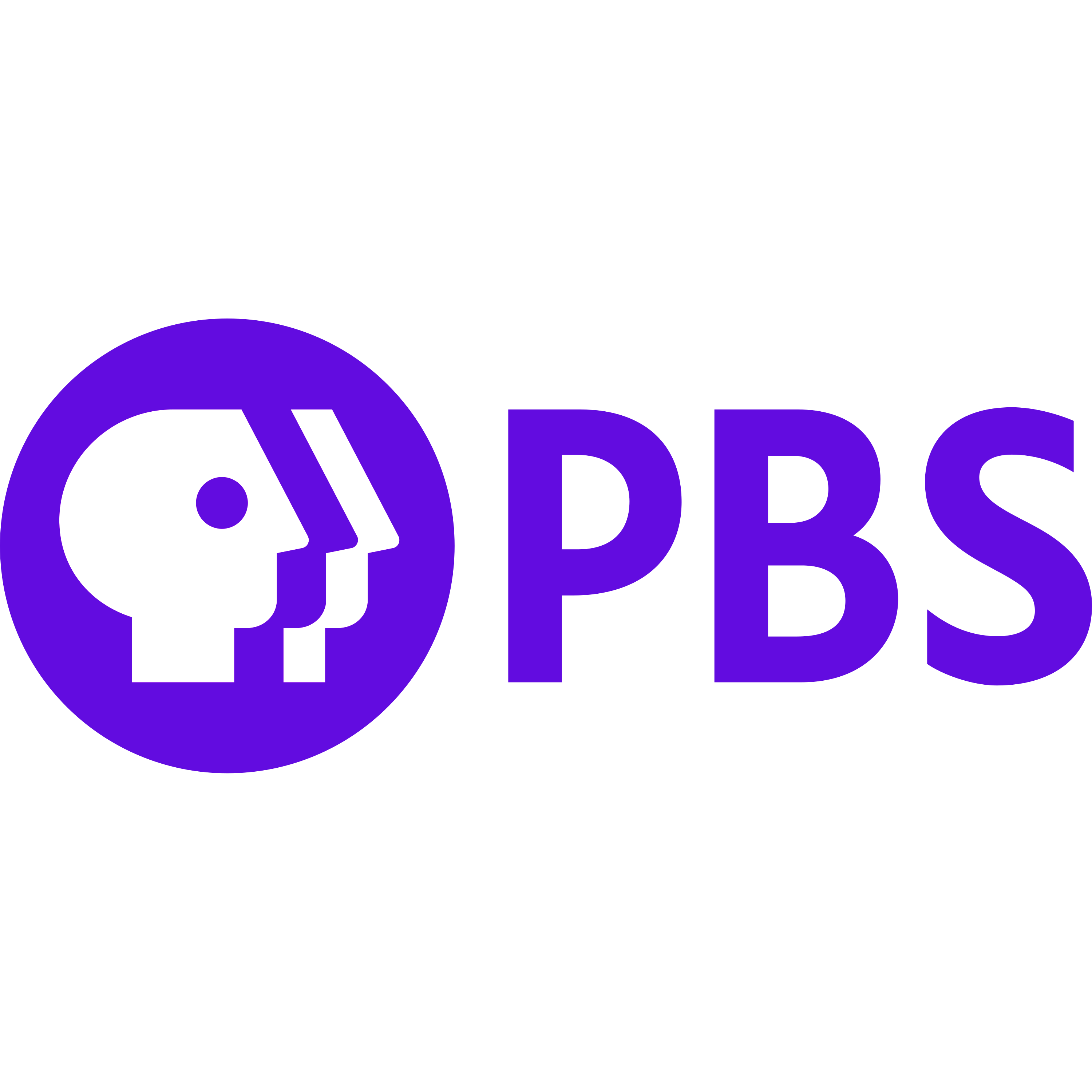 PBS Logo  Transparent Photo