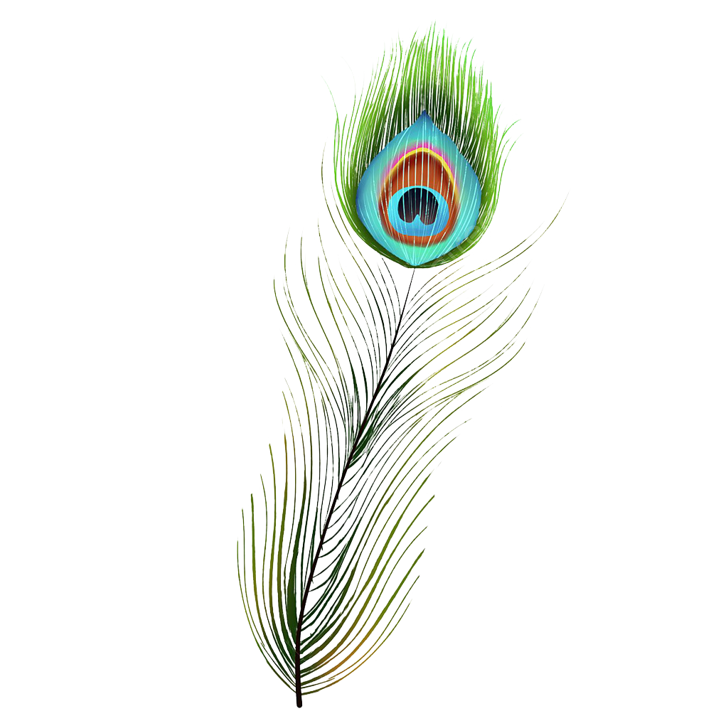 Peacock Feather Transparent Gallery