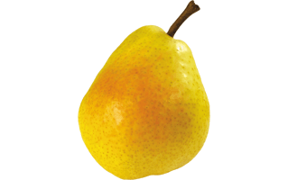 Pear Fruit PNG